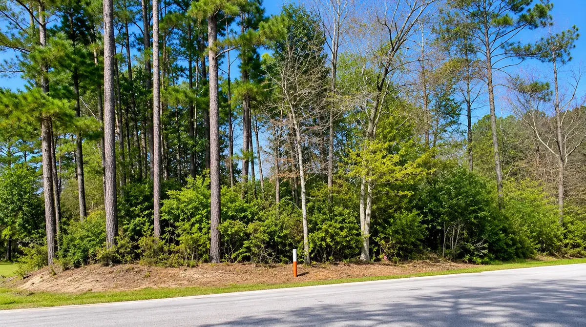 TBD Water Oak / Cedar Point, Livingston, TX 77351 - #1