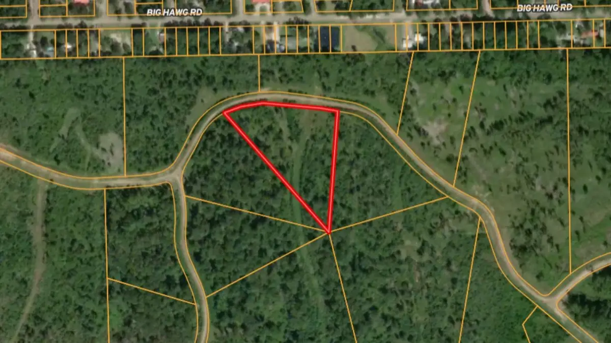 0000 Eagle Falls Boulevard, Trinity, TX 75862 - #1