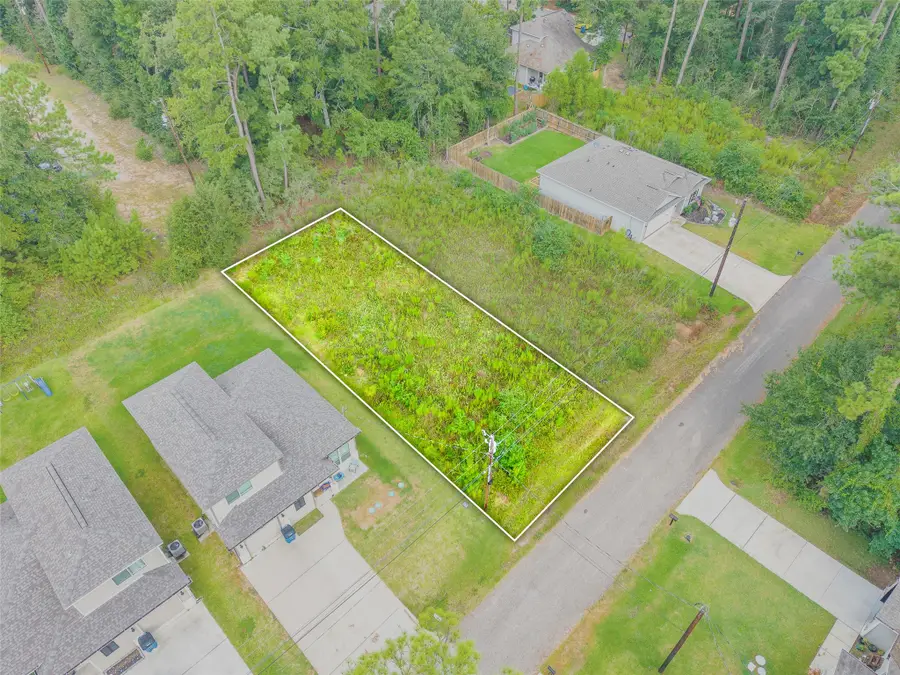 15727 Cottonwood Drive, Montgomery, TX 77356 - #3