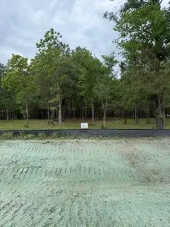 139778 Capital Creek Ranch Boulevard, Willis, TX 77378 - #2