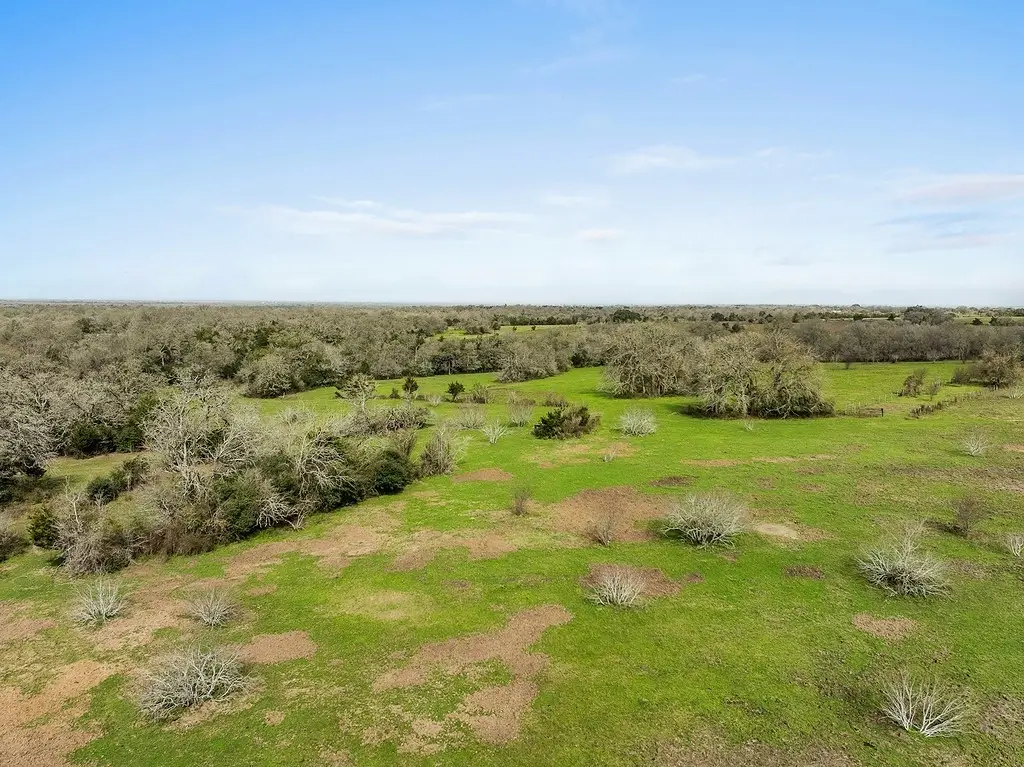 Tract 1 Tbd Kleihege Road, New Ulm, TX 78950 - Image #1
