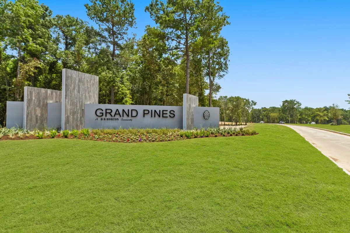 16396 Misty Cedar Lane, Magnolia, TX 77355 - #1
