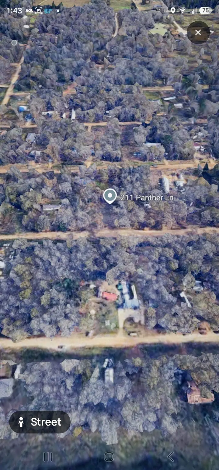 211 Panther Lane, Livingston, TX 77351 - #2