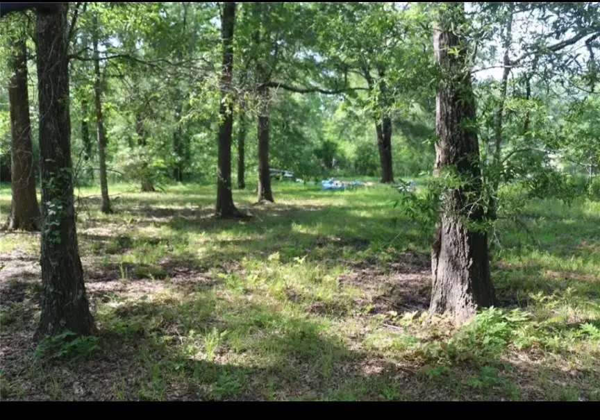 211 Panther Lane, Livingston, TX 77351 - #3