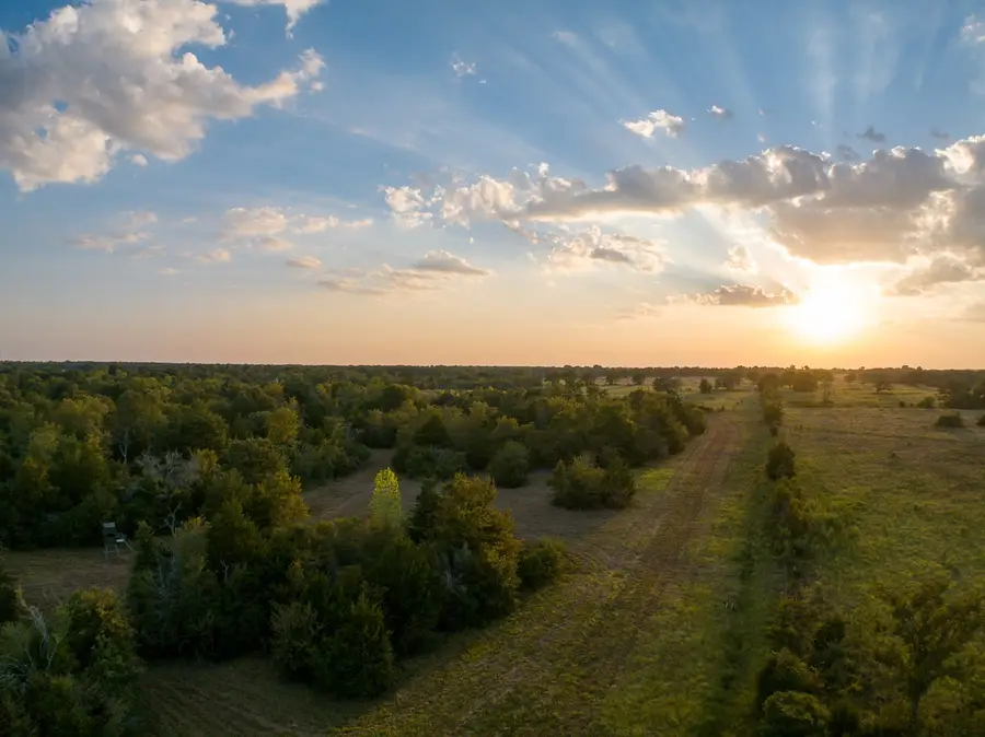 000 Burns Road, Midway, TX 75852 - #2