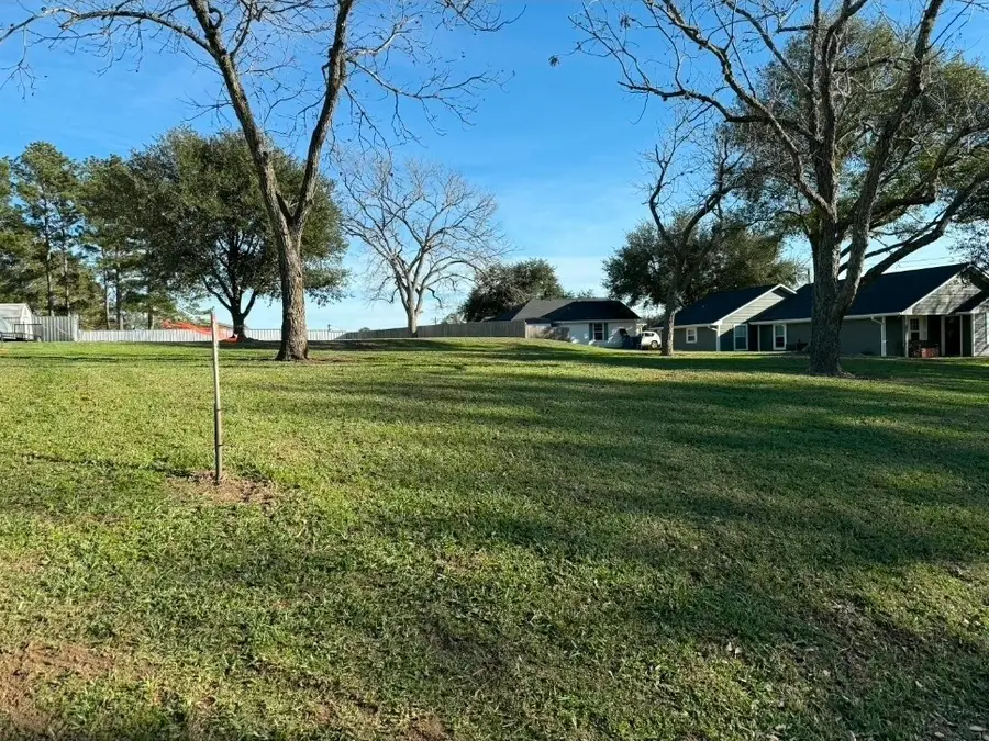 731 S Tesch Street, Bellville, TX 77418 - #2