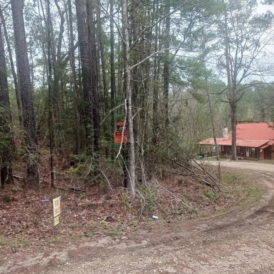 0 Arrowcrest Drive, Brookeland, TX 75931 - Image #2