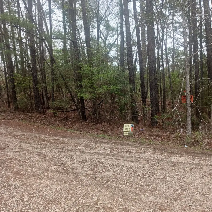 0 Arrowcrest Drive, Brookeland, TX 75931 - Image #3