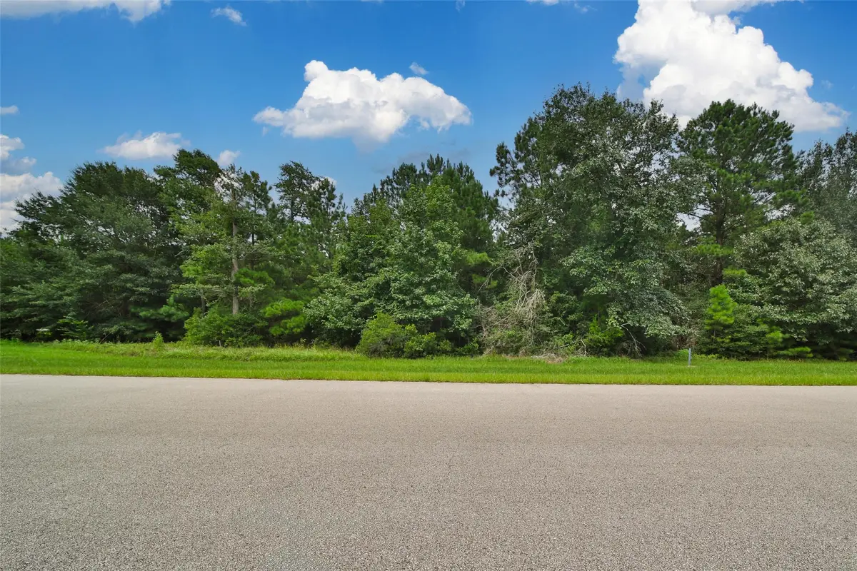 26180 Enzos Way, Montgomery, TX 77316 - #1