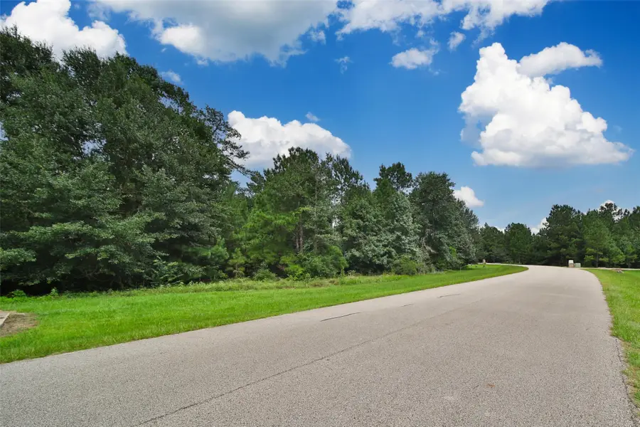 26180 Enzos Way, Montgomery, TX 77316 - #2