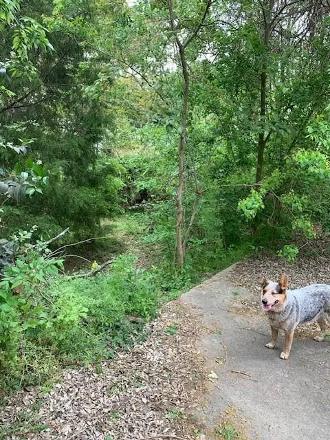 1812 N Sam Houston Parkway Parkway W, Houston, TX 77038 - Image #2