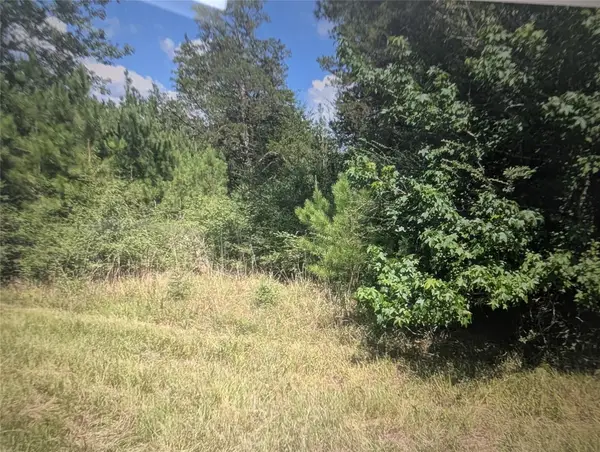 0 Hwy 59, Livingston, TX 77351