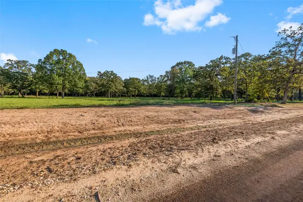 6124 Alans Memorial Lane, New Waverly, TX 77358