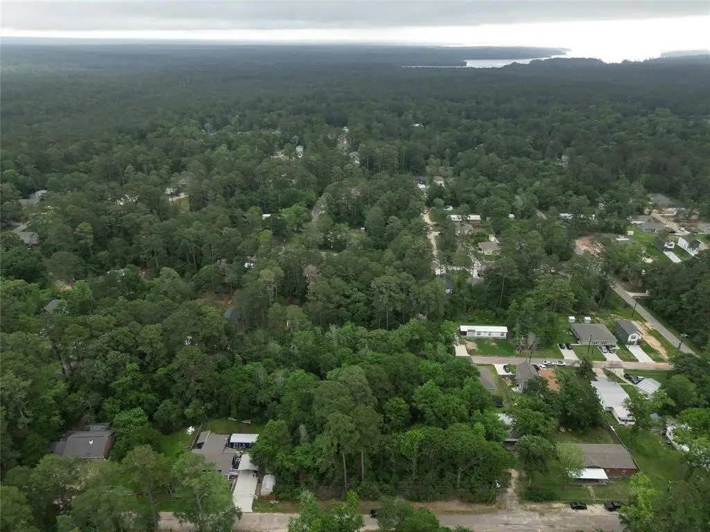 15726 Holly Drive, Montgomery, TX 77356 - Image #1