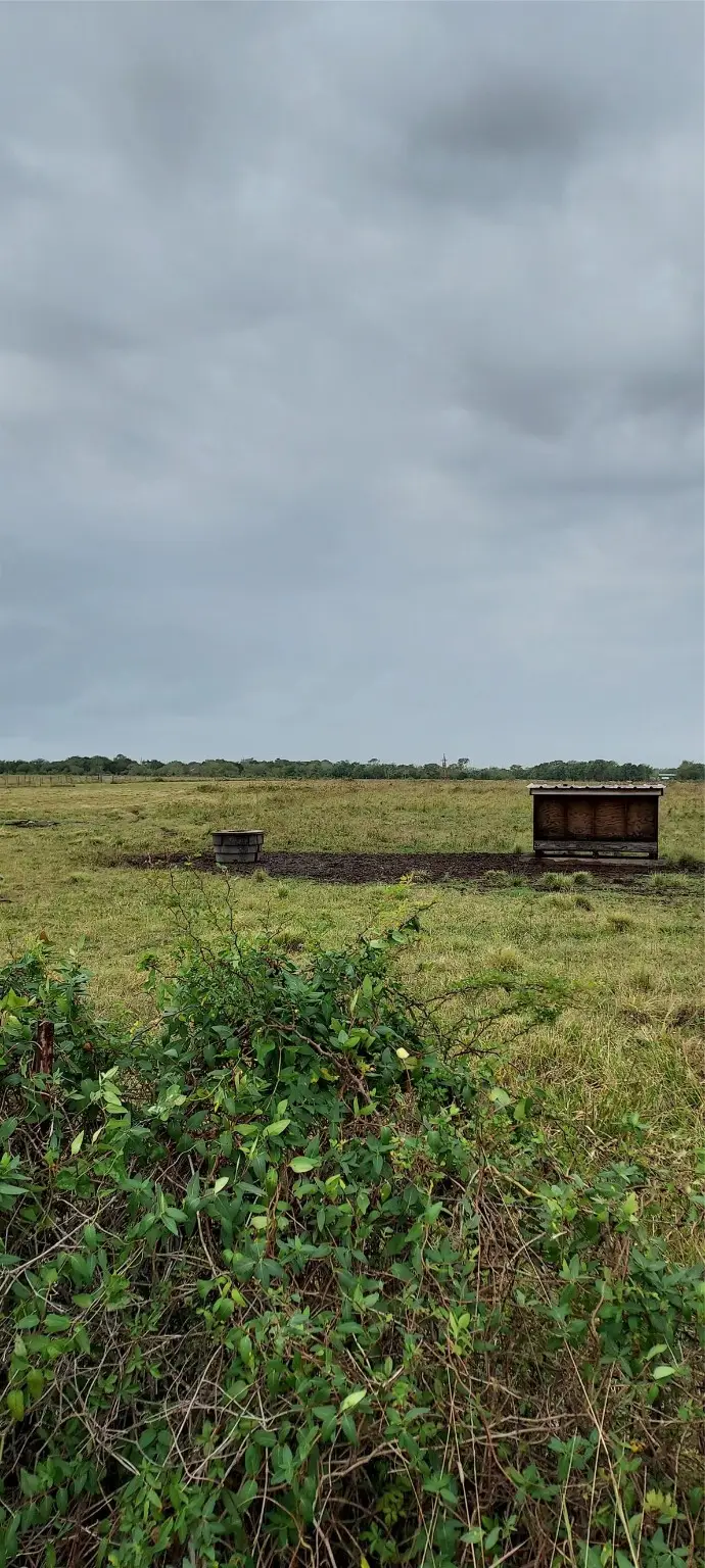 11700 Fm 2004, Alvin Pearland, TX 77510 - Image #2