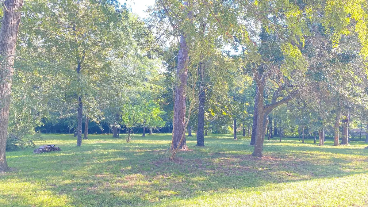 0 Frances Lane, Magnolia, TX 77355 - Image #1