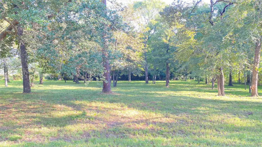 0 Frances Lane, Magnolia, TX 77355 - Image #2