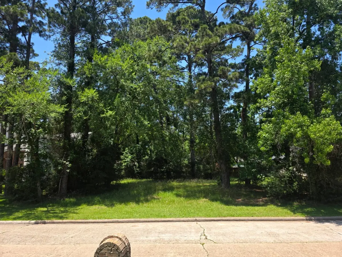 3303 Hemingway Drive, Montgomery, TX 77356 - #1