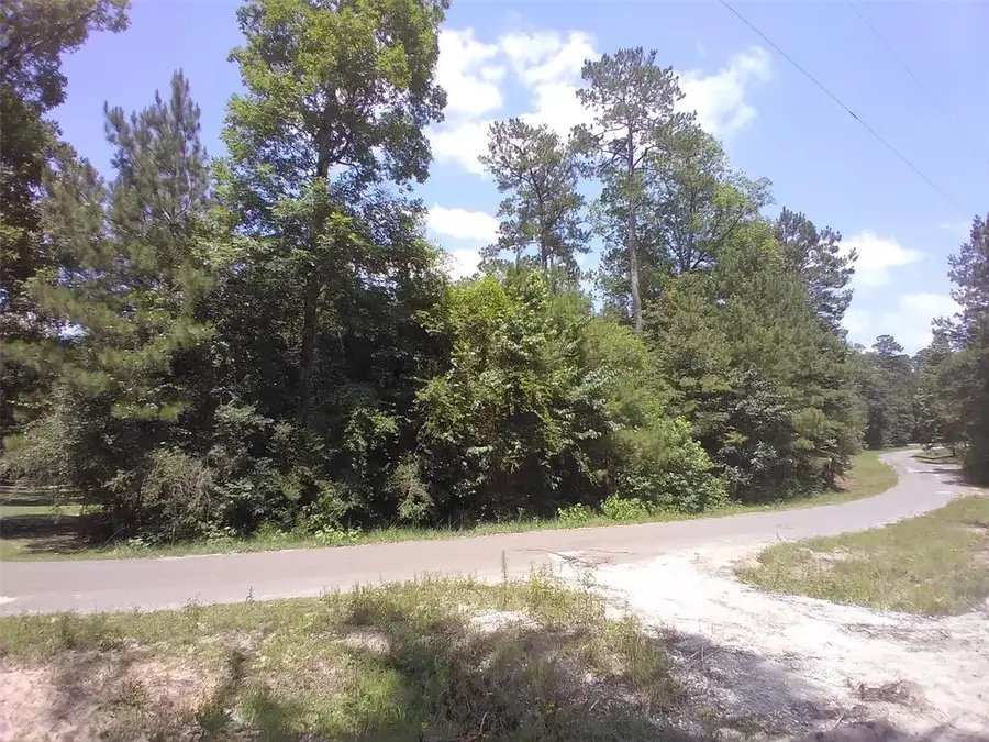 TBD 14th Street, Ivanhoe, TX 75979 - Image #2