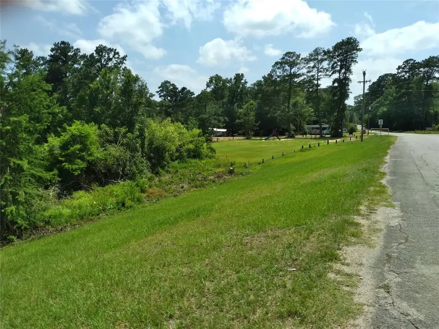 TBD 14th Street, Ivanhoe, TX 75979 - Image #3