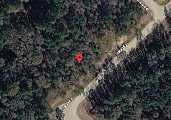 159 Hollow Hill Drive, New Waverly, TX 77358