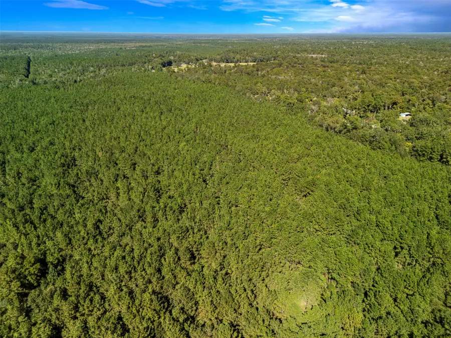 00 Fm 770, Kountze, TX 77625 - #3