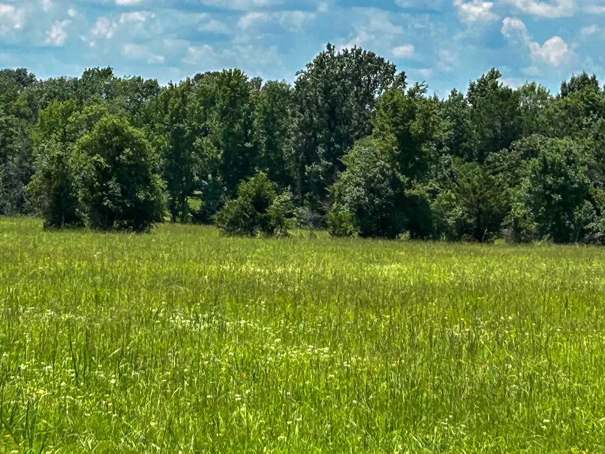 3 Highway 7 West, Crockett, TX 75835 - #1
