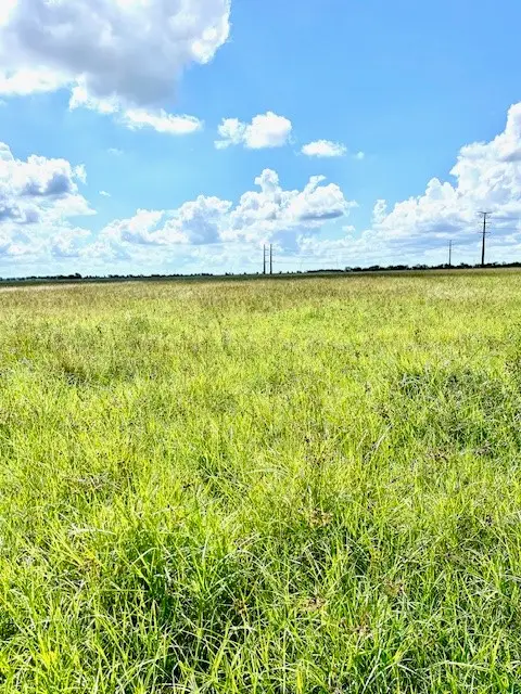 0 Fm-442, Boling Newgulf, TX 77453 - Image #3