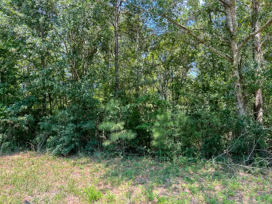 3 Highway 190, Woodville, TX 75979 - Image #3