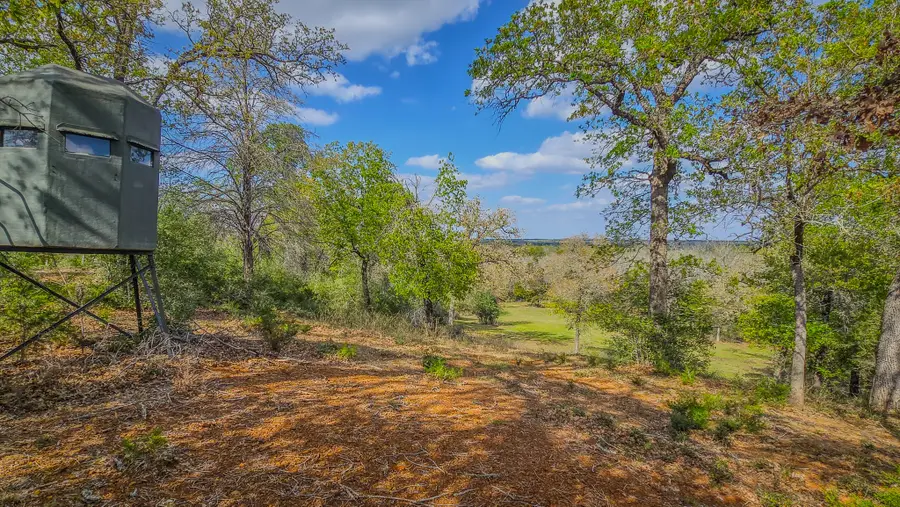 TBD County Road 412, Lexington, TX 78947 - #2