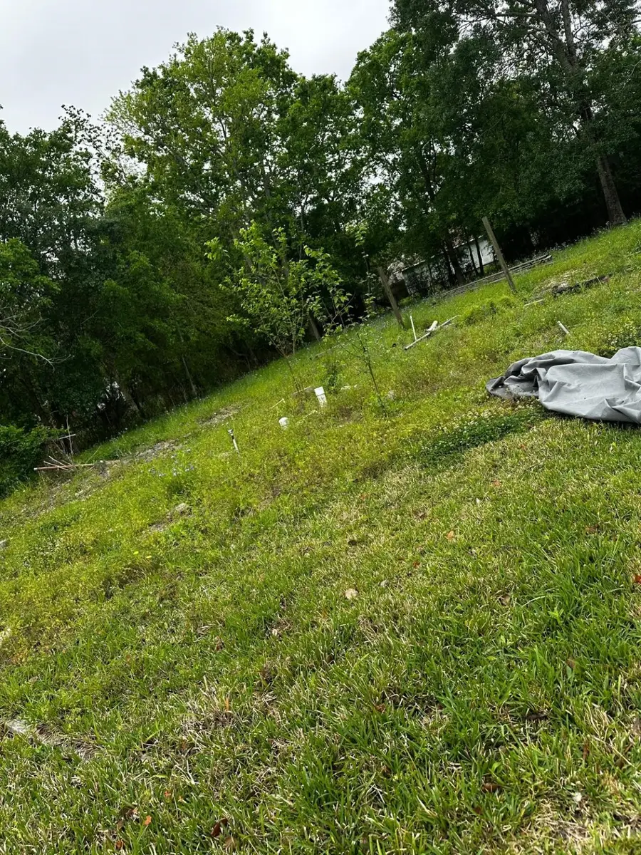 2435 6th Avenue, Port Arthur, TX 77642 - Image #3