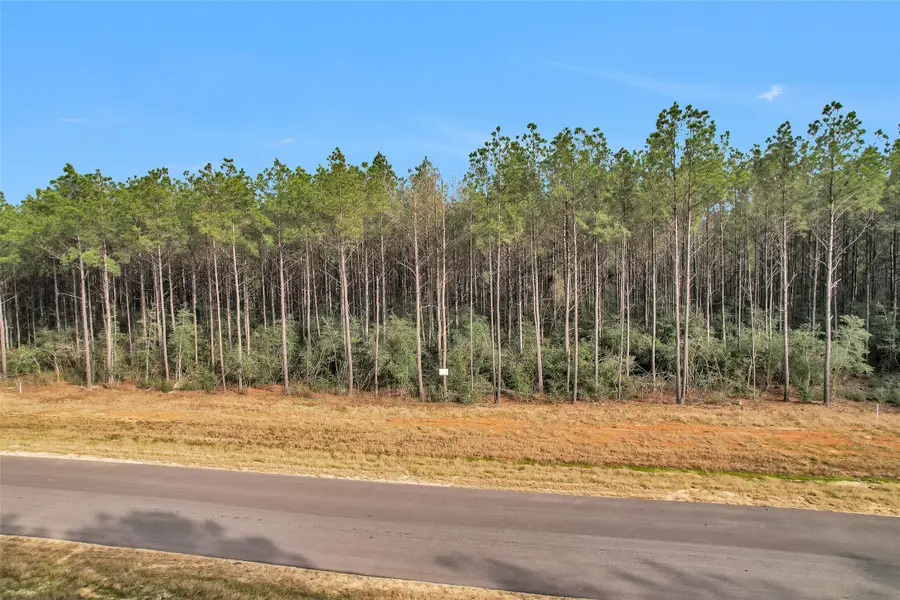 16049 Forest Mill Road, Willis, TX 77378 - #2