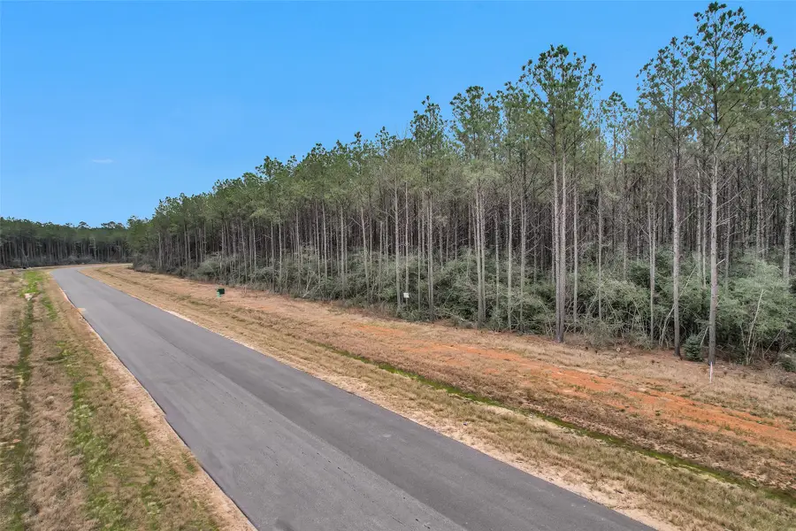 16049 Forest Mill Road, Willis, TX 77378 - #3