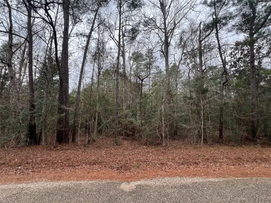 0 Road 2746, Cleveland, TX 77327 - #2