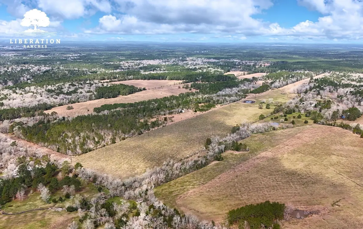 lot 5 John Warren Road, Coldspring, TX 77331 - Image #1