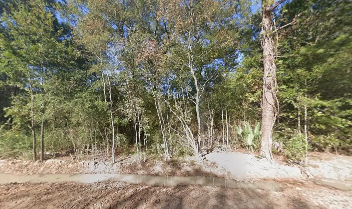 0 Pin Oak Lane, Huffman, TX 77336 - Image #1