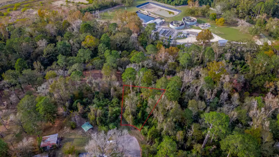 TBD LOT 53 Cardinal Drive, Livingston, TX 77351 - Image #3