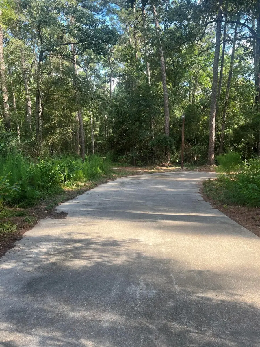 30403 Walnut Creek Road, Magnolia, TX 77355 - Image #2