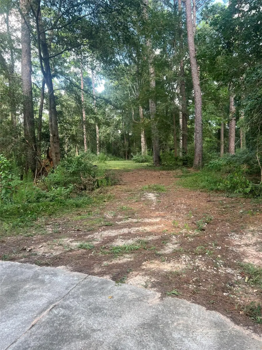 30403 Walnut Creek Road, Magnolia, TX 77355 - Image #3