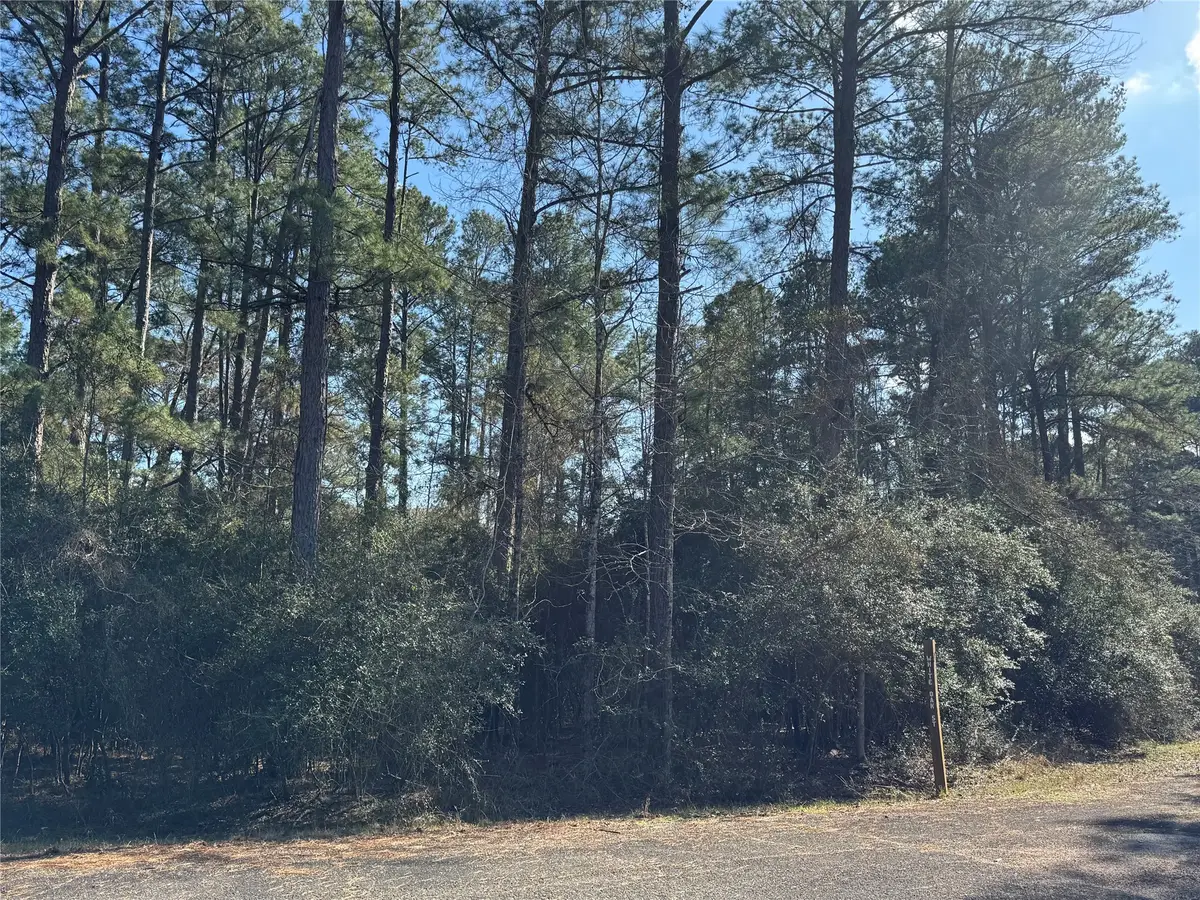 TBD White Oak Street, Trinity, TX 75862 - #1