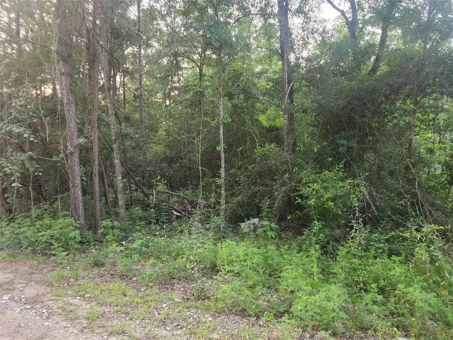 Lot 5 Pin Oak Drive, Plantersville, TX 77363 - Image #2