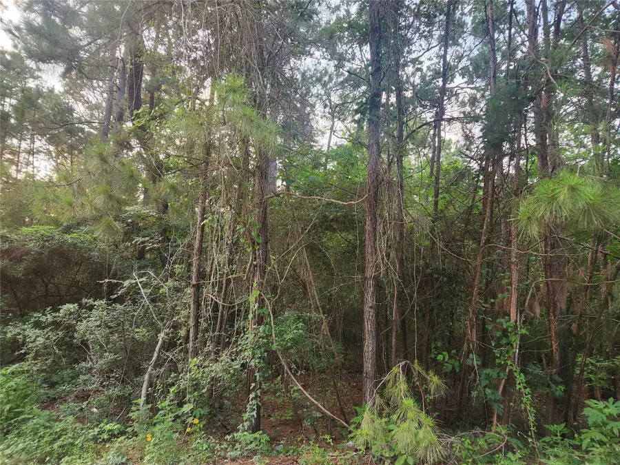 Lot 5 Pin Oak Drive, Plantersville, TX 77363 - Image #3