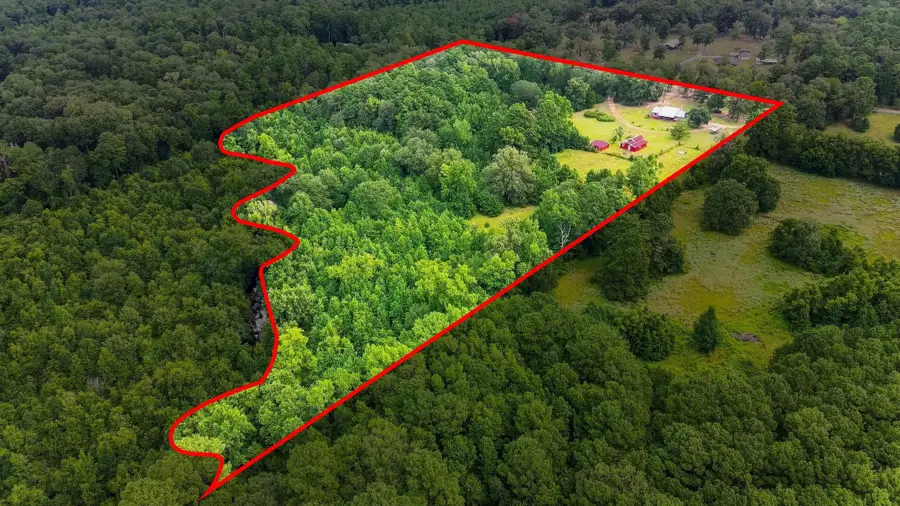 151 Parker Road, New Waverly, TX 77358 - #2
