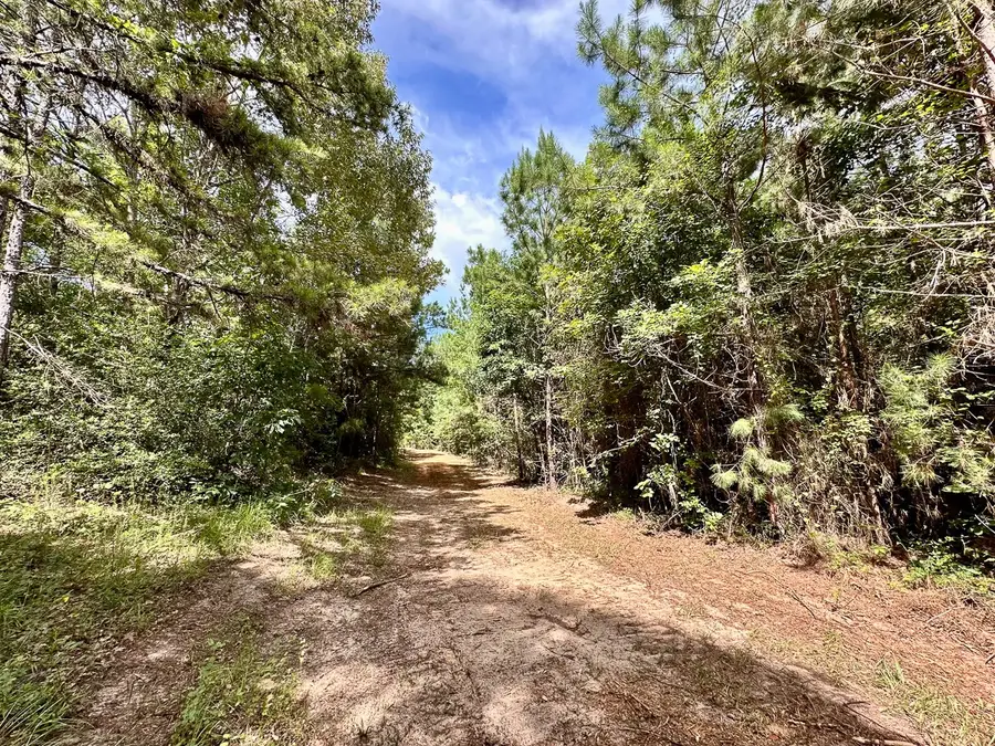 1 County Road 2065, Crockett, TX 75835 - Image #3