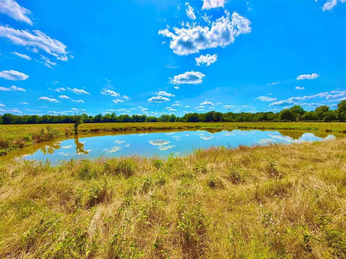 TBD Cooper Settlement Road, Crockett, TX 75835 - #1
