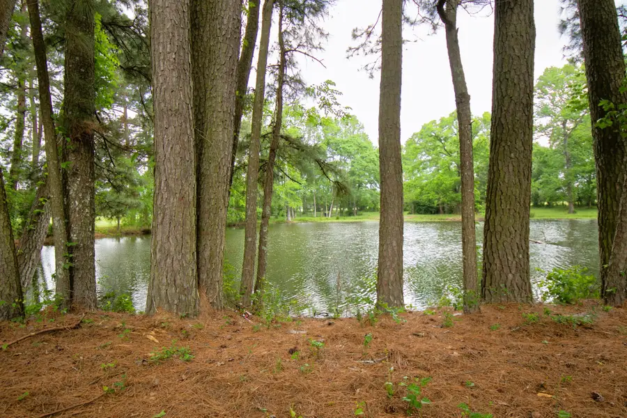 938 Jones Road, New Waverly, TX 77358 - Image #2