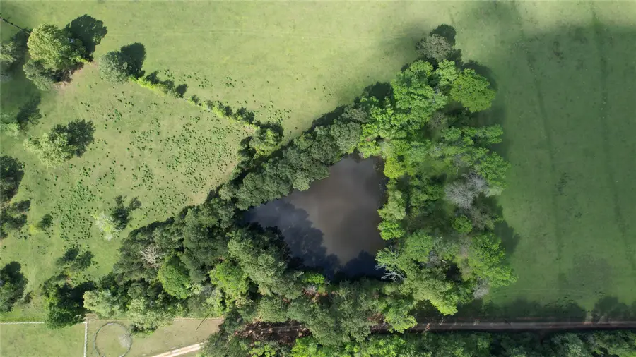 938 Jones Road, New Waverly, TX 77358 - Image #3