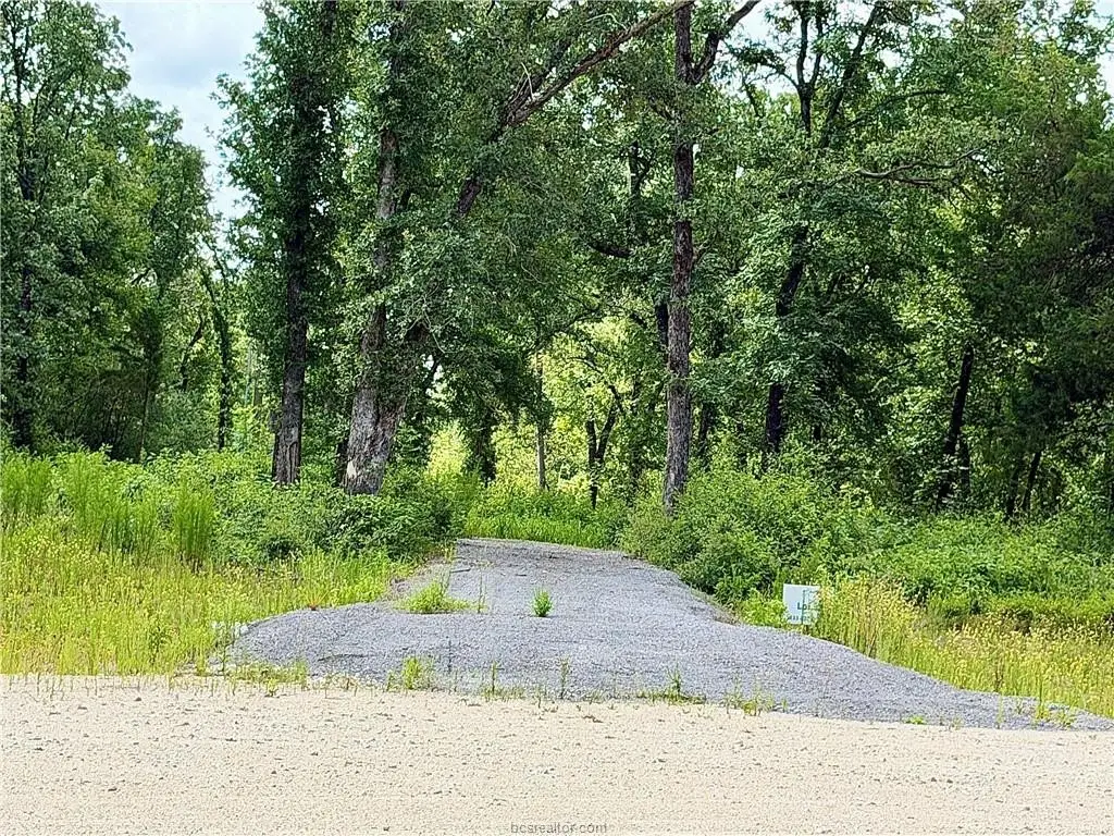 6353 Pr 3443, Marquez, TX 77865 - #1