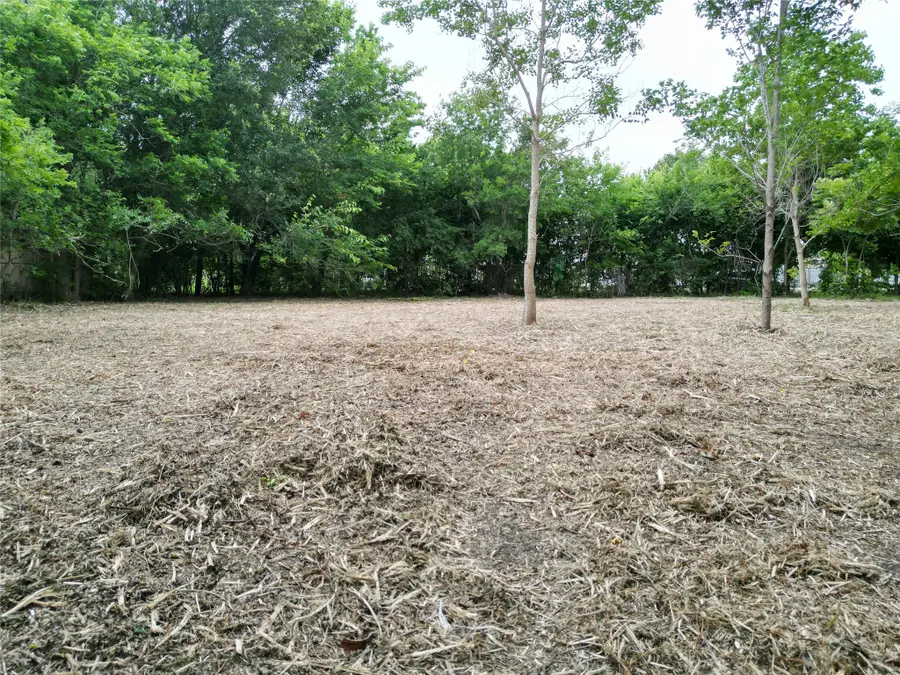 13515 Canterwell Road, Houston, TX 77047 - #3