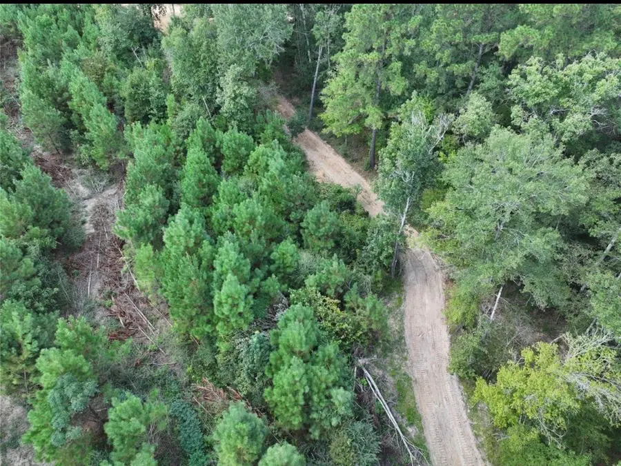 001 Bracewell Cemetery Road, Livingston, TX 77351 - #2